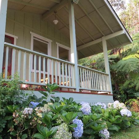 Carson'S Kaloko Mountain Cabin Kailua-Kona Zewnętrze zdjęcie