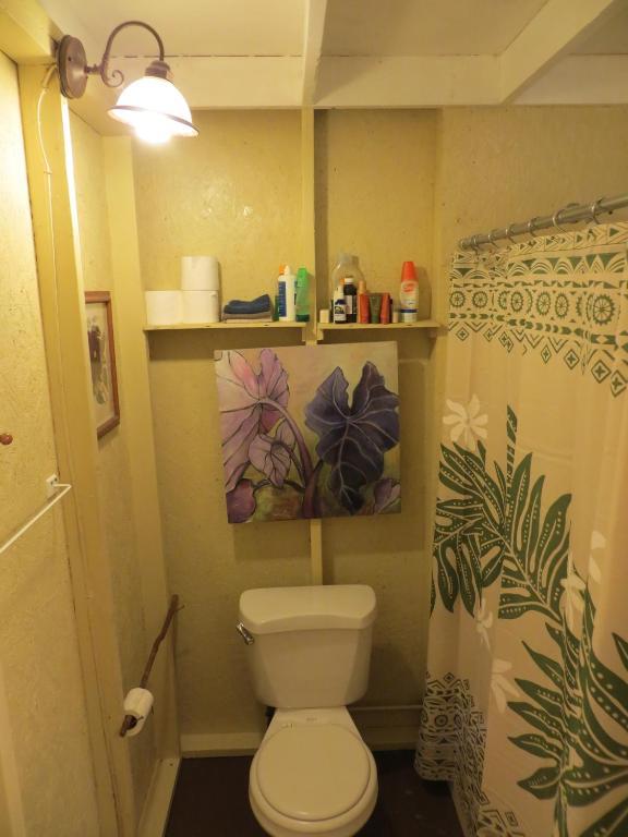 Carson'S Kaloko Mountain Cabin Kailua-Kona Zewnętrze zdjęcie