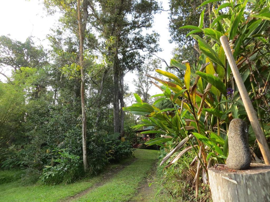 Carson'S Kaloko Mountain Cabin Kailua-Kona Zewnętrze zdjęcie