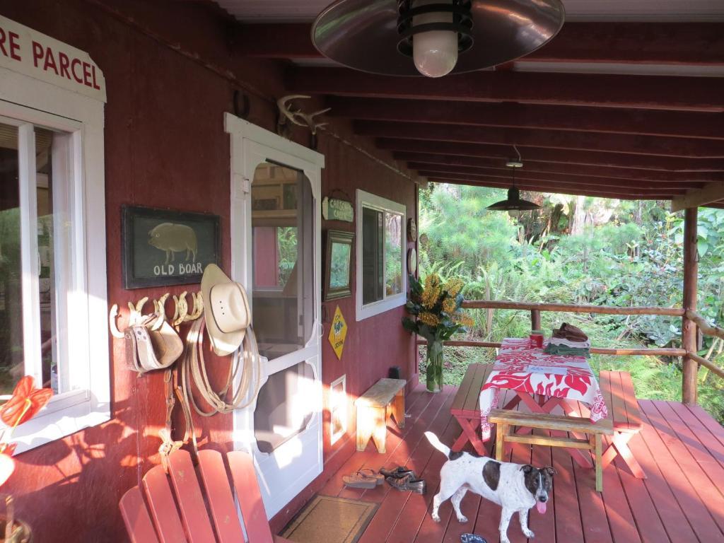 Carson'S Kaloko Mountain Cabin Kailua-Kona Pokój zdjęcie